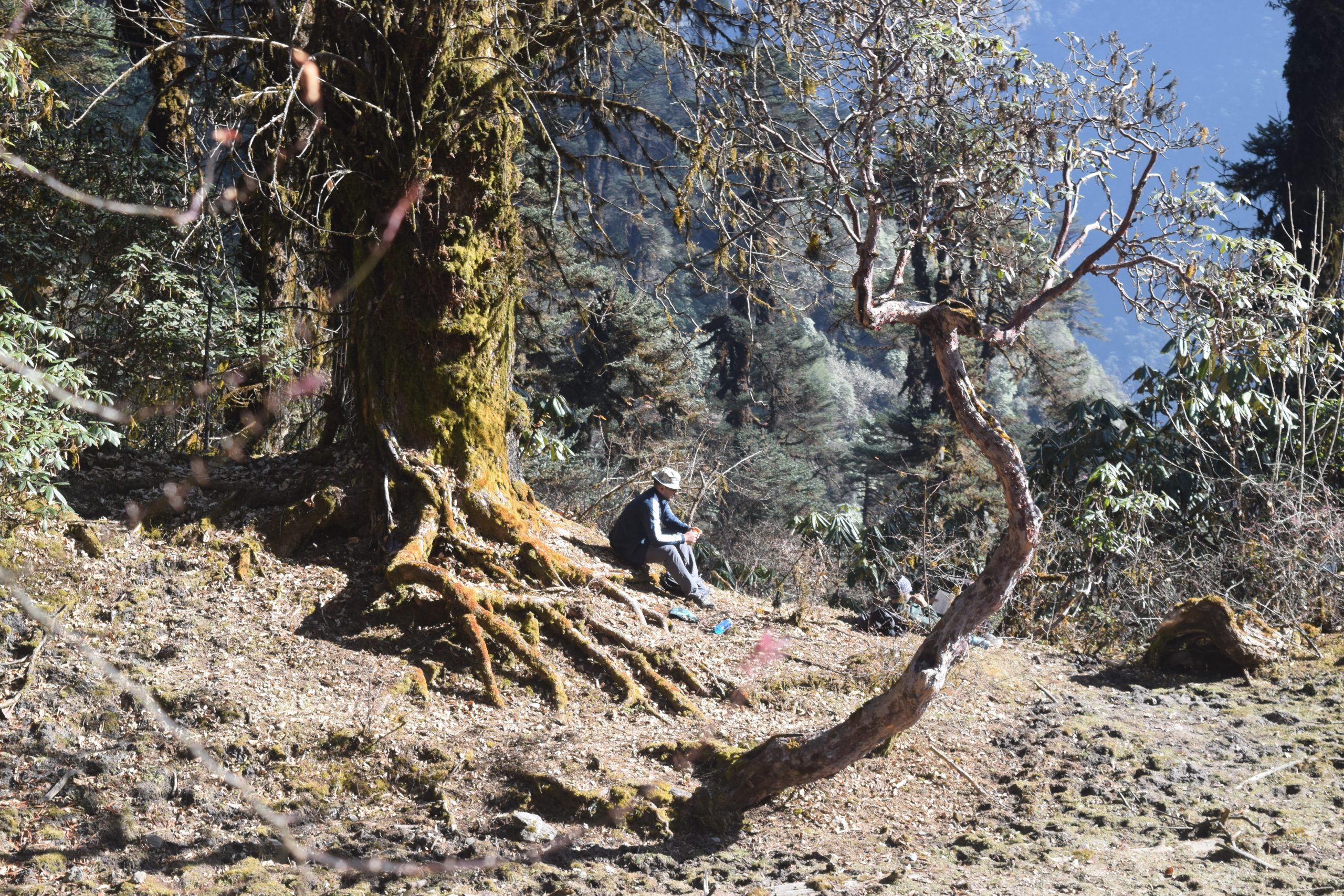 DSC_0260