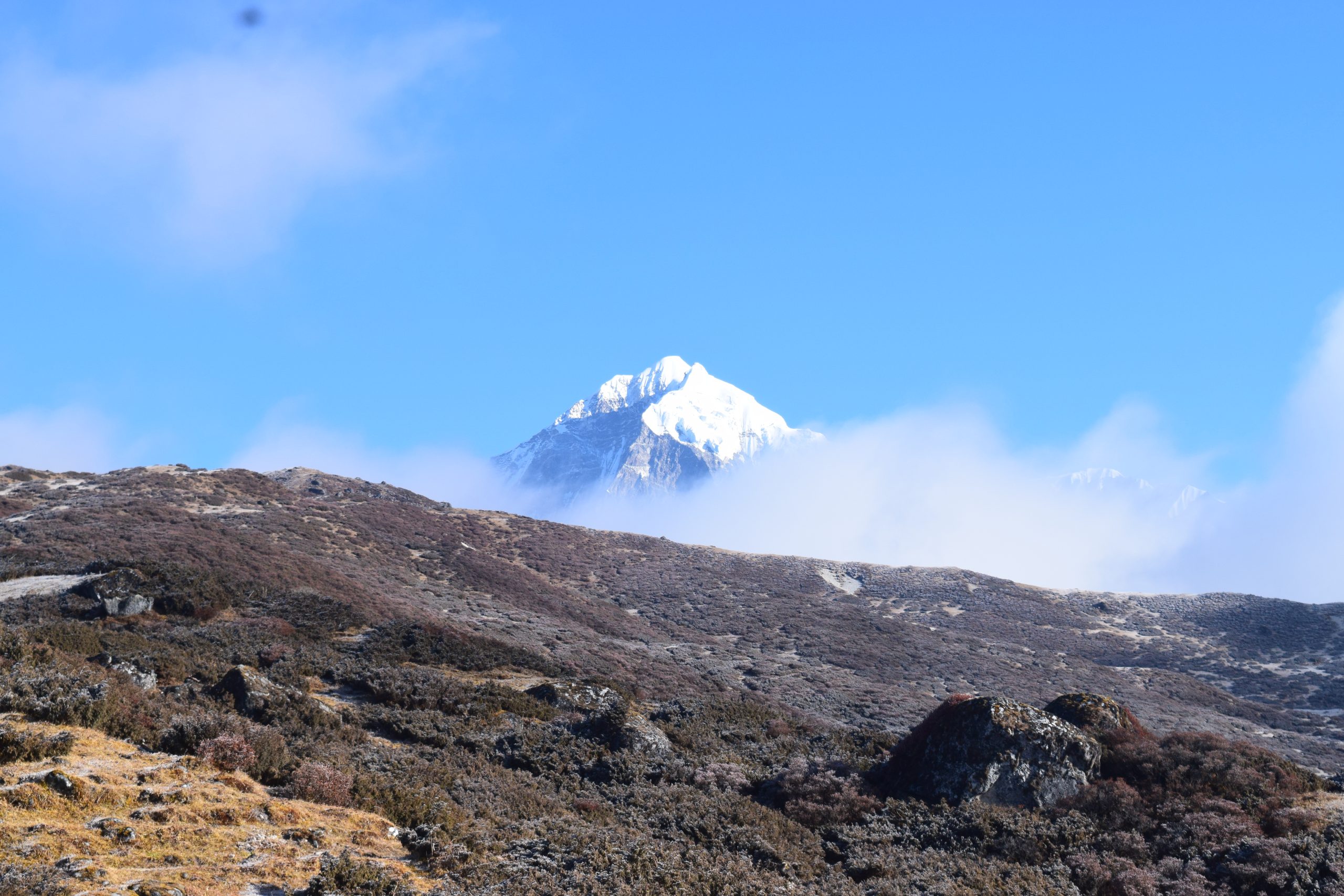 DSC_0296